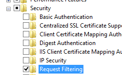 Screenshot displays World Wide Web Services and Security pane expanded with Request Filtering selected.
