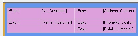 The layout containing the customer data